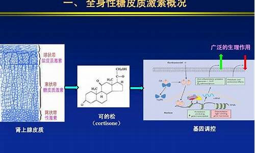 糖皮质激素不合适的进展期白癜风患者可选择